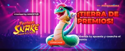Casino Te Apuesto Online